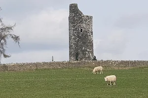 Old Kilcullen Round Tower image