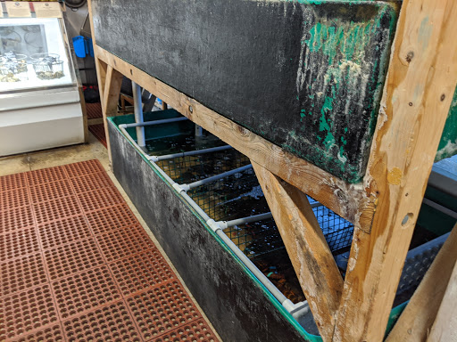 Seafood Market «Pine Tree Seafood & Produce», reviews and photos, 655 US-1, Scarborough, ME 04074, USA