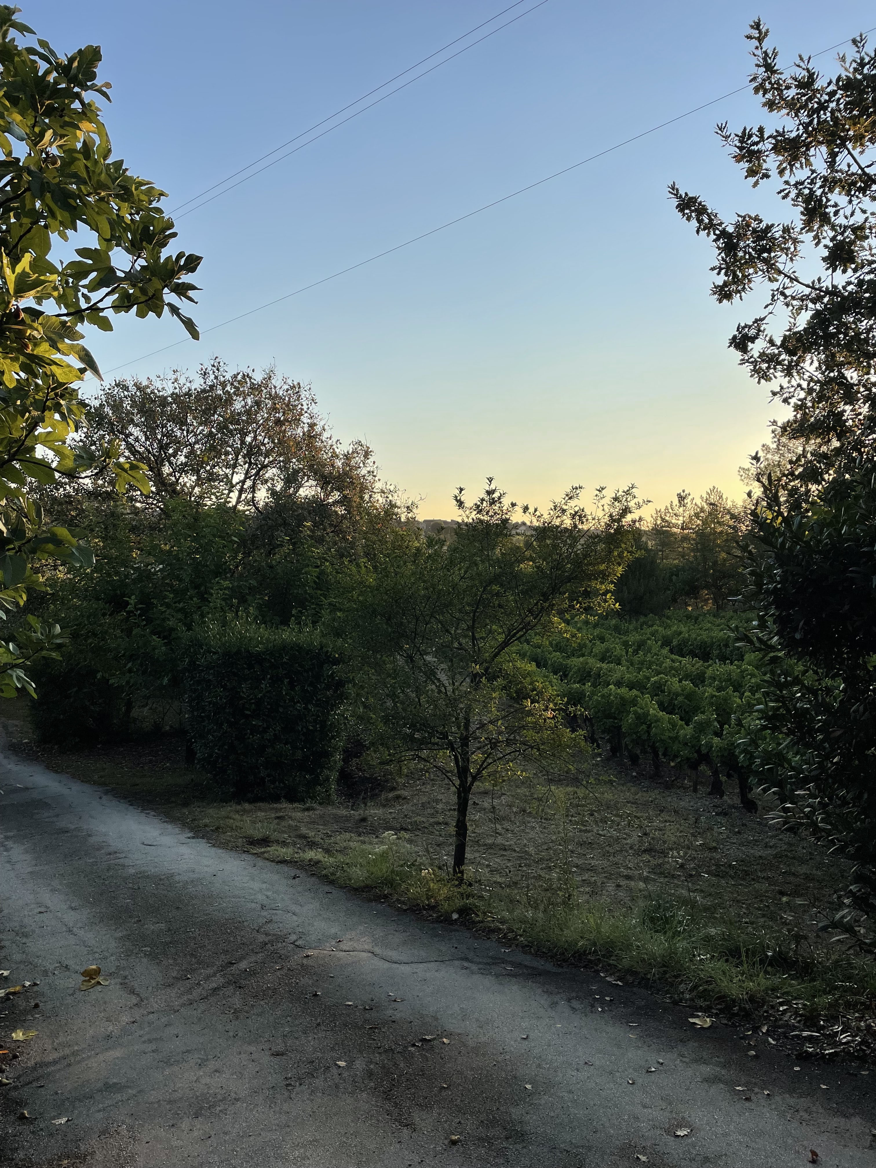 Photo n° 3 de l'avis de VEGAN.V fait le 17/09/2021 à 12:23