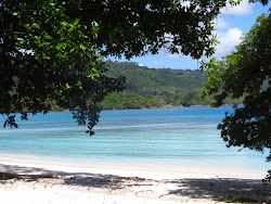 Lonnoc Beach'in fotoğrafı ve güzel manzarası
