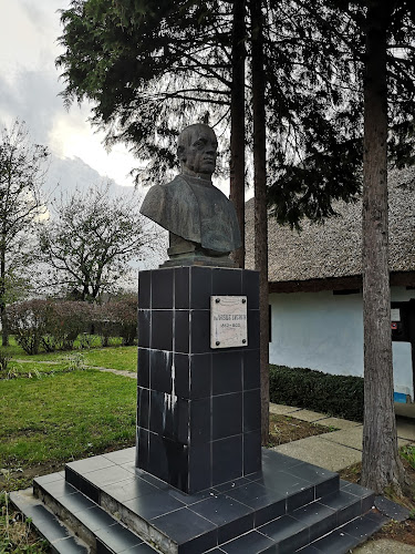 Opinii despre Casa memoriala Dr. Vasile Lucaciu în <nil> - Muzeu