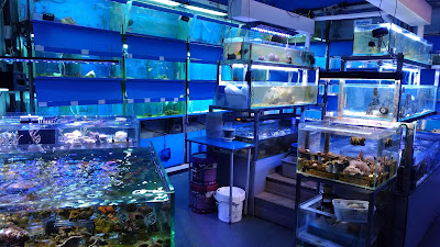 Paramount Aquarium à Paris