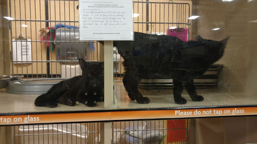 Pet Supply Store «PetSmart», reviews and photos, 3 McKenna Rd, Arden, NC 28704, USA