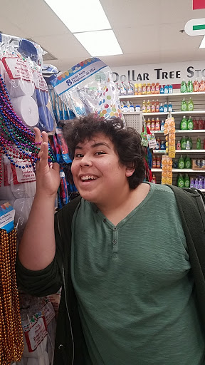 Dollar Store «Dollar Tree», reviews and photos, 321 Pond St, Ashland, MA 01721, USA