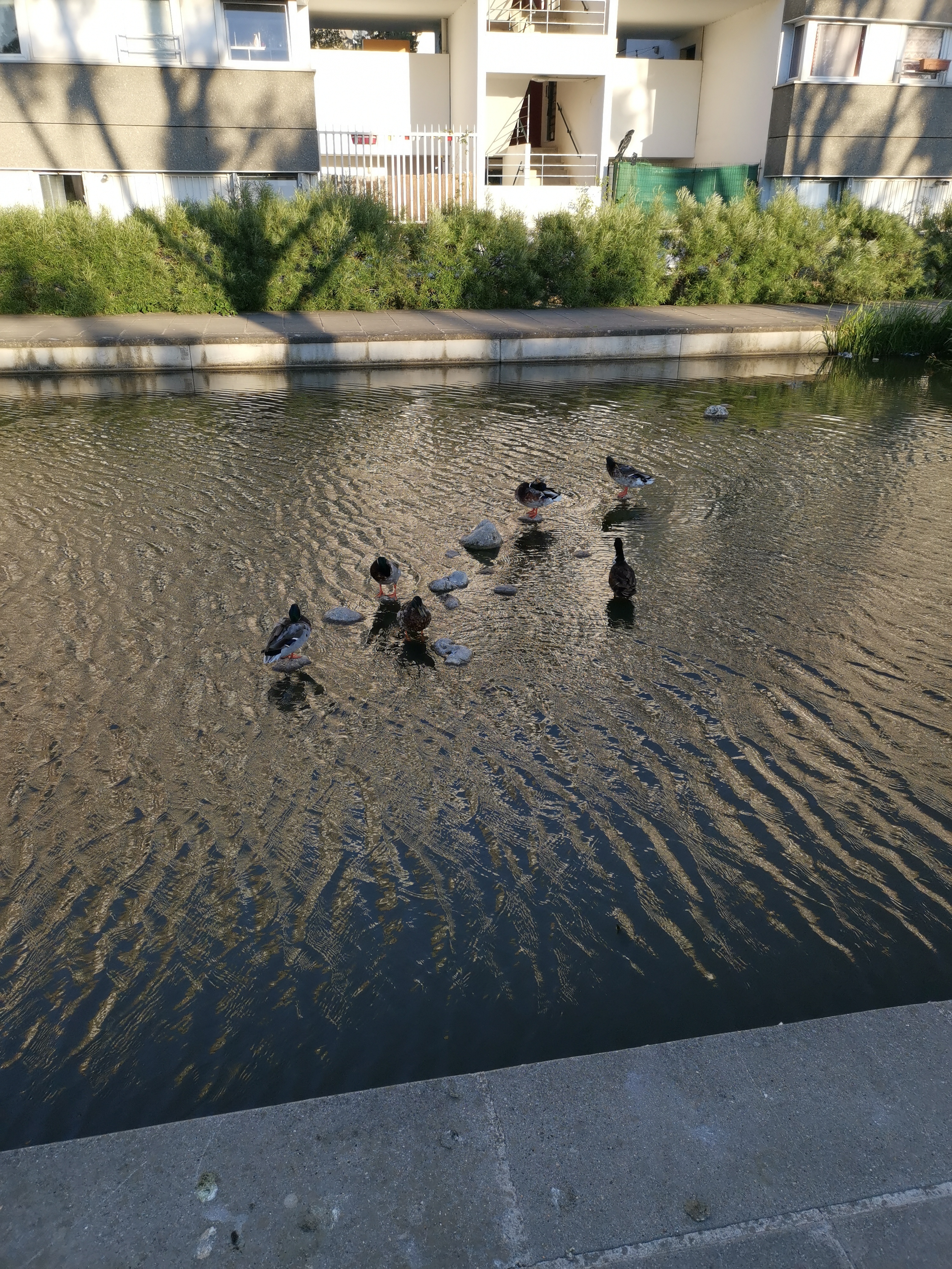 Photo n° 1 de l'avis de Yannou.e fait le 30/05/2020 à 10:42