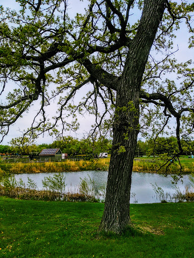 Park «Webber Park», reviews and photos, 4300 Webber Pkwy, Minneapolis, MN 55412, USA