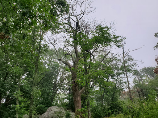 Park «Webb Park», reviews and photos, 58 Summit St, Weymouth, MA 02188, USA