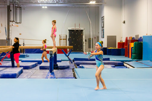 Gymnastics Center «Naperville Gymnastics Club & Dance Academy», reviews and photos, 800 Enterprise Ct, Naperville, IL 60563, USA