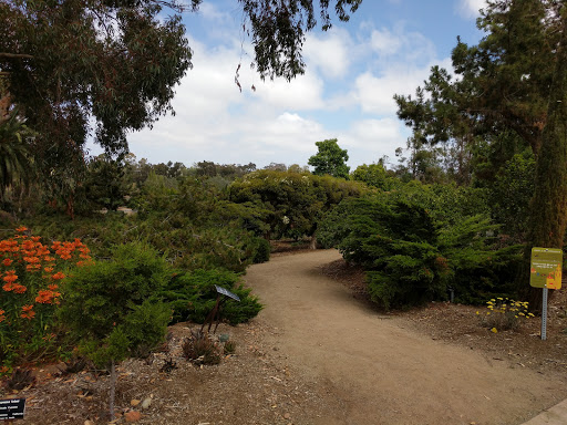 Trees for Health Garden