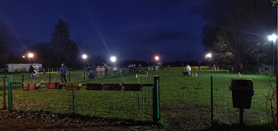Agility club Armbouts-cappel à Armbouts-Cappel