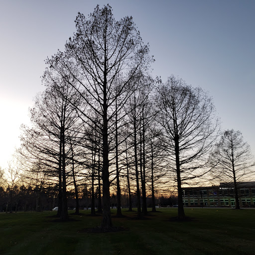 Insurance Agency «GEICO Corporate Office», reviews and photos