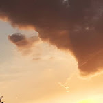 Photo n° 12 de l'avis de Nohelia.I fait le 25/11/2019 à 19:01 pour Lion de Roccapina à Sartène
