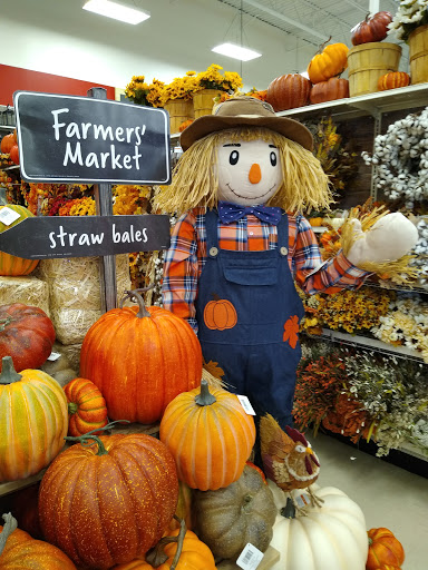 Craft Store «Michaels», reviews and photos, 250 Marketplace Boulevard, Selinsgrove, PA 17870, USA