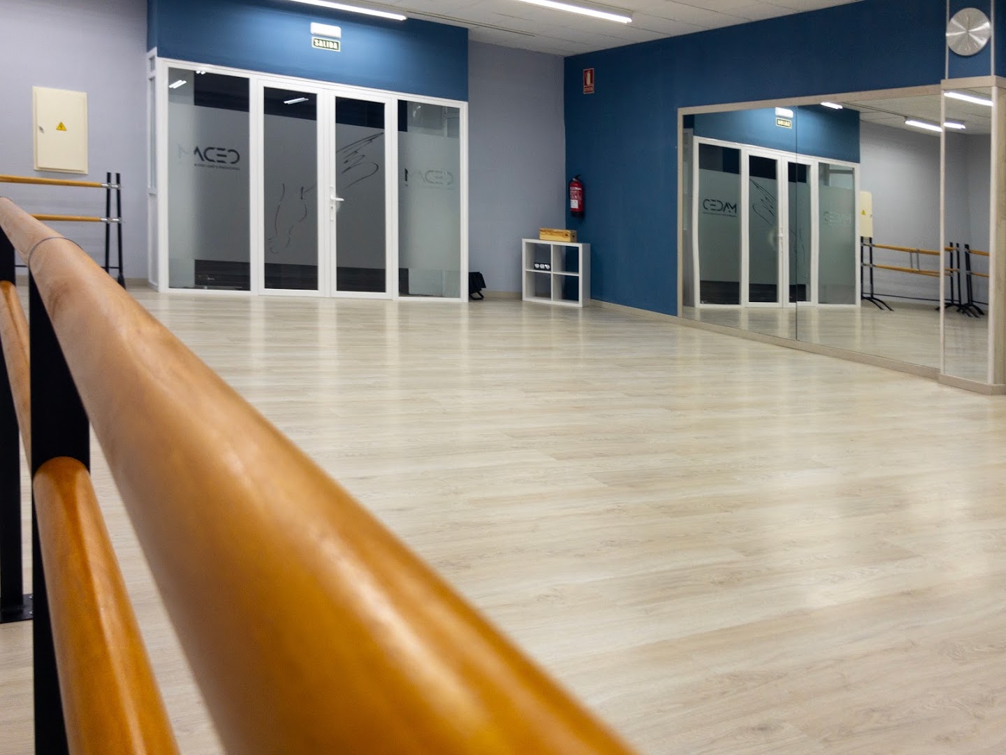 CEDAM - Centro Extremeño de Danza y Artes del Movimiento