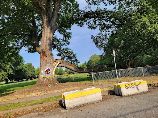 Park «Powell Park», reviews and photos, SE 26th Ave & Powell Blvd, Portland, OR 97202, USA