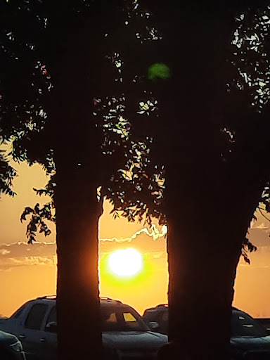 Vineyard «Ardon Creek Vineyard and Winery», reviews and photos, 2391 Independence Ave, Letts, IA 52754, USA