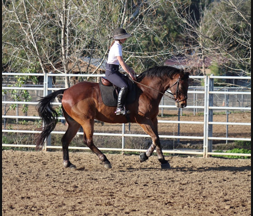 San Diego Riding