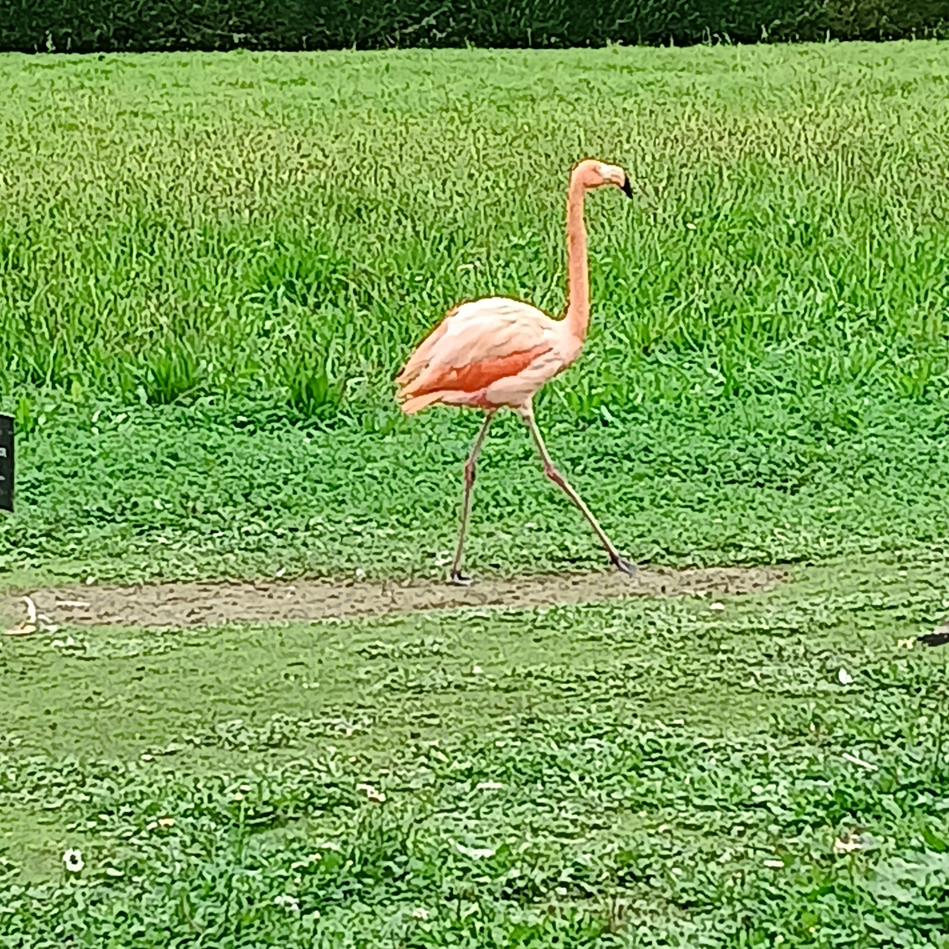 Photo n° 4 de l'avis de Carole.l fait le 17/09/2023 à 12:43