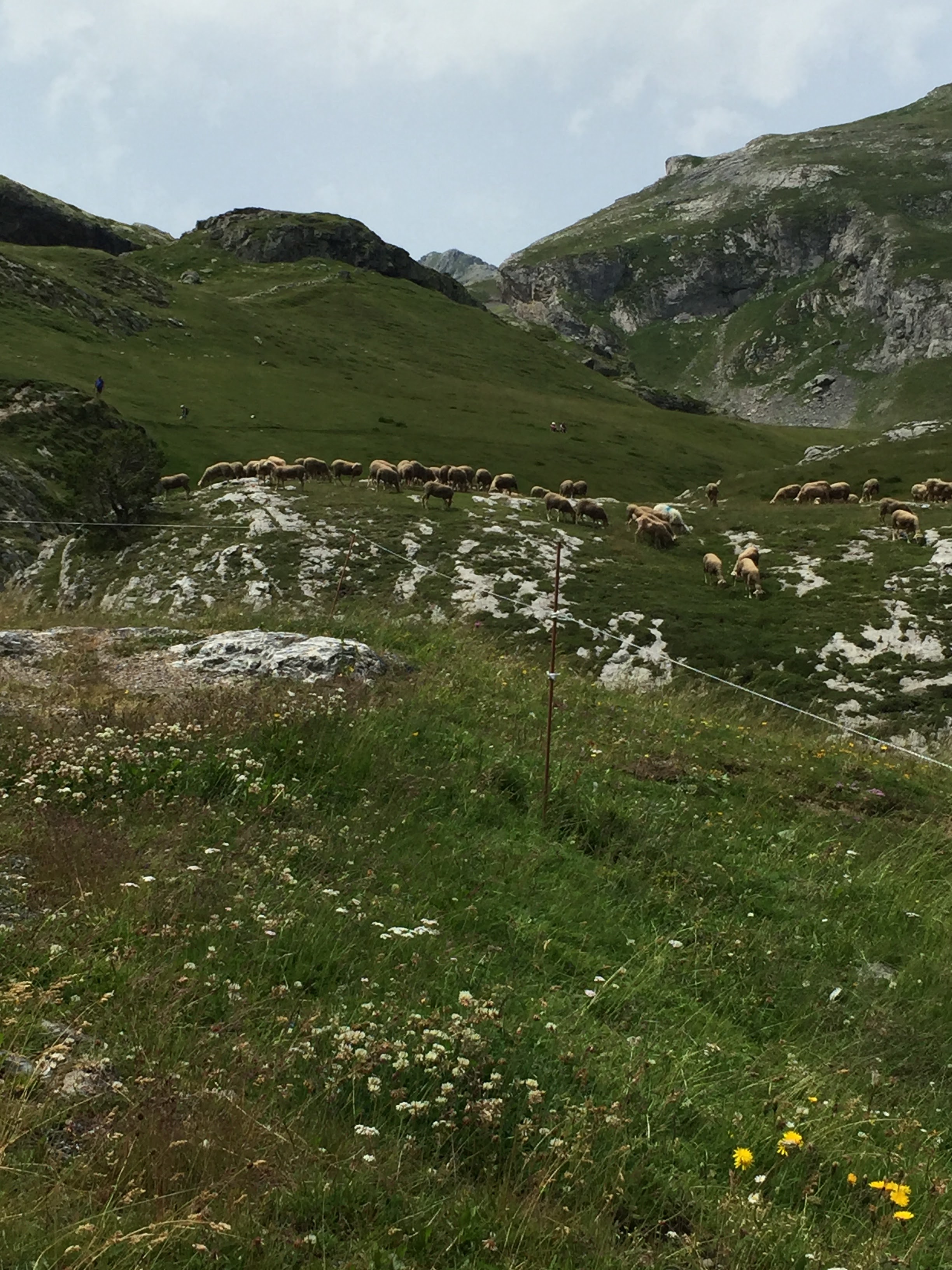 Photo n° 2 de l'avis de beata.a fait le 11/07/2021 à 20:48