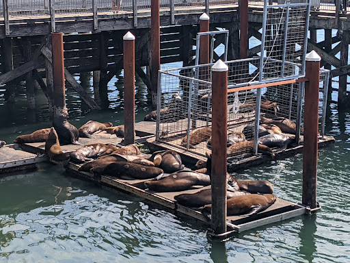 Coffee Shop «Bayscapes Gallery & Coffee house», reviews and photos, 333 SW Bay Blvd, Newport, OR 97365, USA