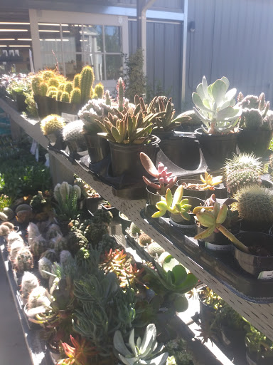 Hardware Store «Garrett Hardware & Plbg Co», reviews and photos, 1340 Healdsburg Ave, Healdsburg, CA 95448, USA