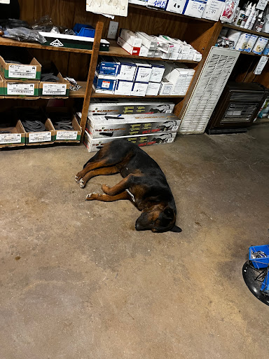 Whittle Feed & Seed Store