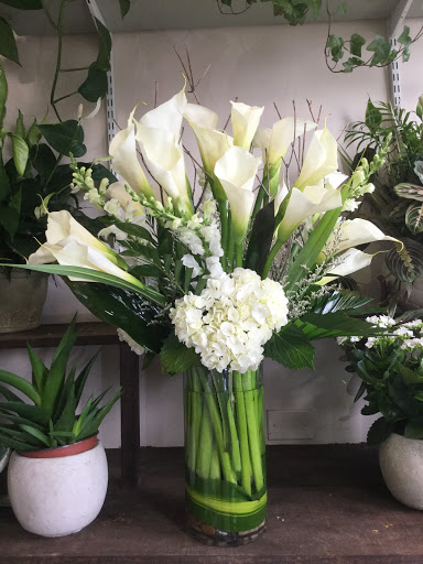 Florist «Greenwich Blooms Florist Inc», reviews and photos, 109 Mill St, Greenwich, CT 06830, USA