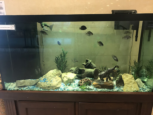 Shopping Mall «Signal Hills Shopping Center», reviews and photos, 1225 S Robert St, West St Paul, MN 55118, USA