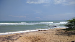 Foto von Rasthakaadu Beach wilde gegend