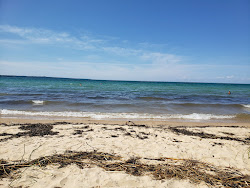 Foto af Mackinaw Beach beliggende i naturområde