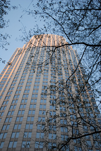 Bank «Bank of America Financial Center», reviews and photos