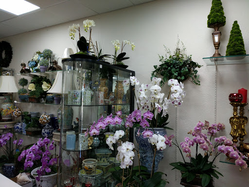 Florist «Floral Impressions», reviews and photos, 4203 W El Prado Blvd # A, Tampa, FL 33629, USA