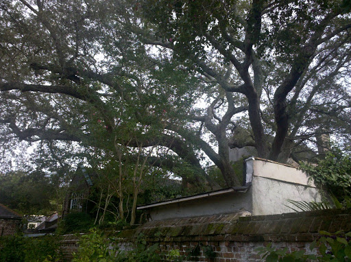 Museum «Heyward-Washington House», reviews and photos, 87 Church St, Charleston, SC 29403, USA