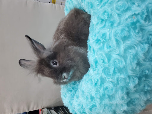 Pet Store «Windy City Pet Store», reviews and photos, 1660 N 4th St m, Laramie, WY 82072, USA