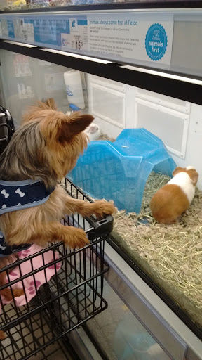 Pet Supply Store «Petco Animal Supplies», reviews and photos, 5925 US-6, Portage, IN 46368, USA