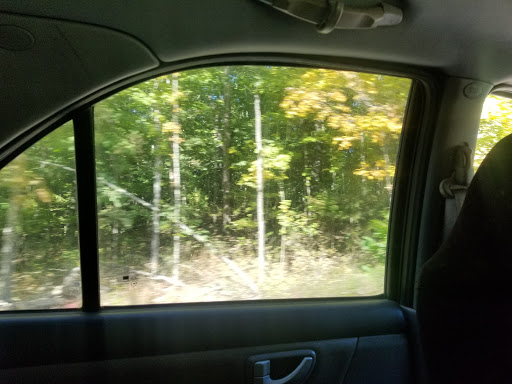 Art Gallery «Brown County Art Gallery», reviews and photos, 1 Artist Dr, Nashville, IN 47448, USA