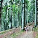 Photo n°6 de l'avis de Roberto.a fait le 23/10/2019 à 07:58 sur le  Locanda dei Baroni à Camaldoli