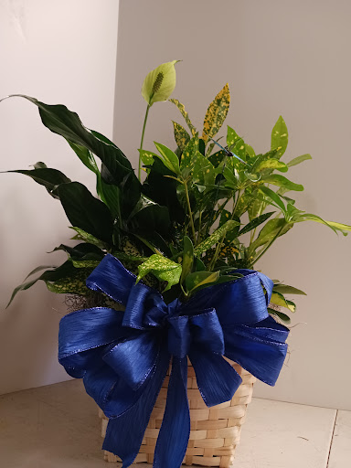 Florist «Treasures To Adore», reviews and photos, 1313 Carolyn Ct, Humble, TX 77338, USA