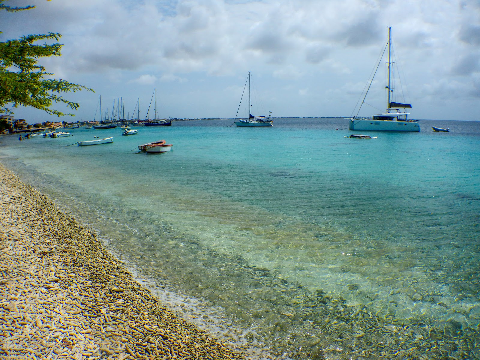 Foto av Vakantiehuis Pelican Reef med turkos rent vatten yta