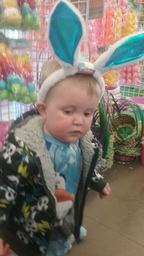 Dollar Store «Dollar Tree», reviews and photos, 570 W 300 N, Warsaw, IN 46582, USA