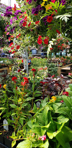 Pet Supply Store «Agway of Middlefield», reviews and photos, 147 Meriden Rd, Middlefield, CT 06455, USA