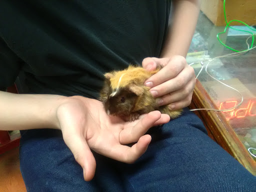 Pet Store «Animal House Pets, LLC», reviews and photos, 3101 Richmond Rd # 201, Lexington, KY 40509, USA