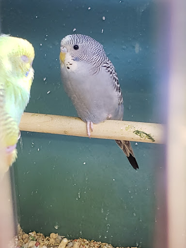 Pet Supply Store «Pet Supplies Plus», reviews and photos, 4488 Commercial Dr, New Hartford, NY 13413, USA