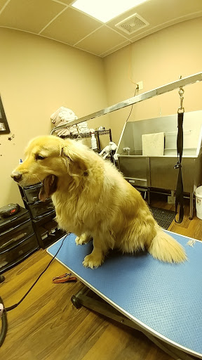 Pet Store «Pet Valu», reviews and photos, 2645 Shillington Rd, Sinking Spring, PA 19608, USA