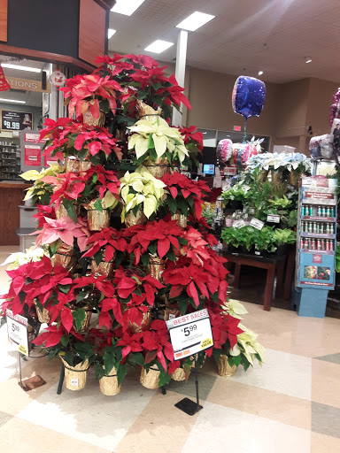 Supermarket «Big Y», reviews and photos, 300 Cooley St, Springfield, MA 01128, USA