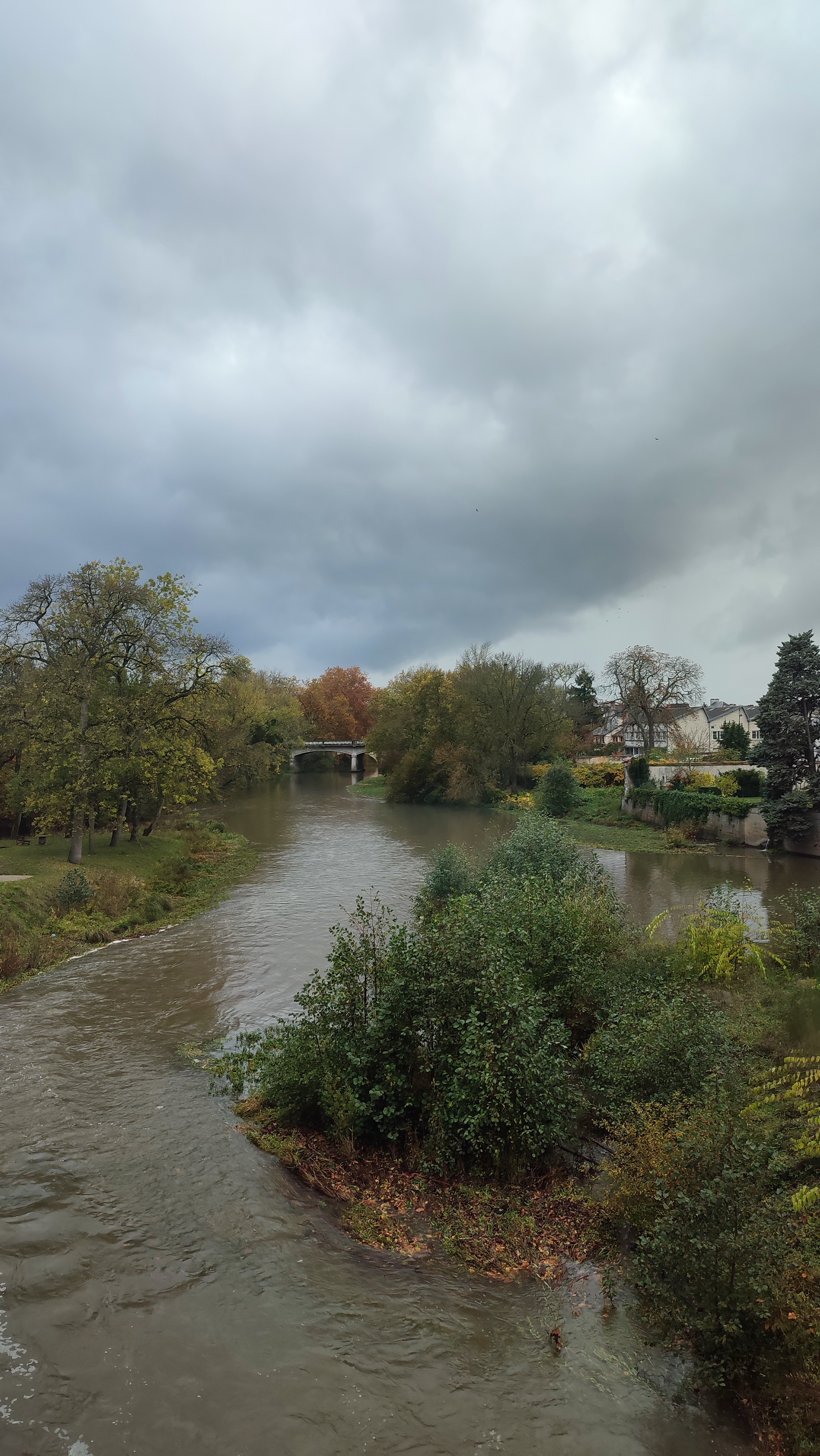 Photo n° 1 de l'avis de Mino.1 fait le 20/11/2023 à 16:39