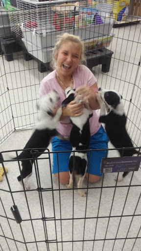 Pet Store «Petland Plano», reviews and photos, 1301 Custer Rd #405, Plano, TX 75075, USA