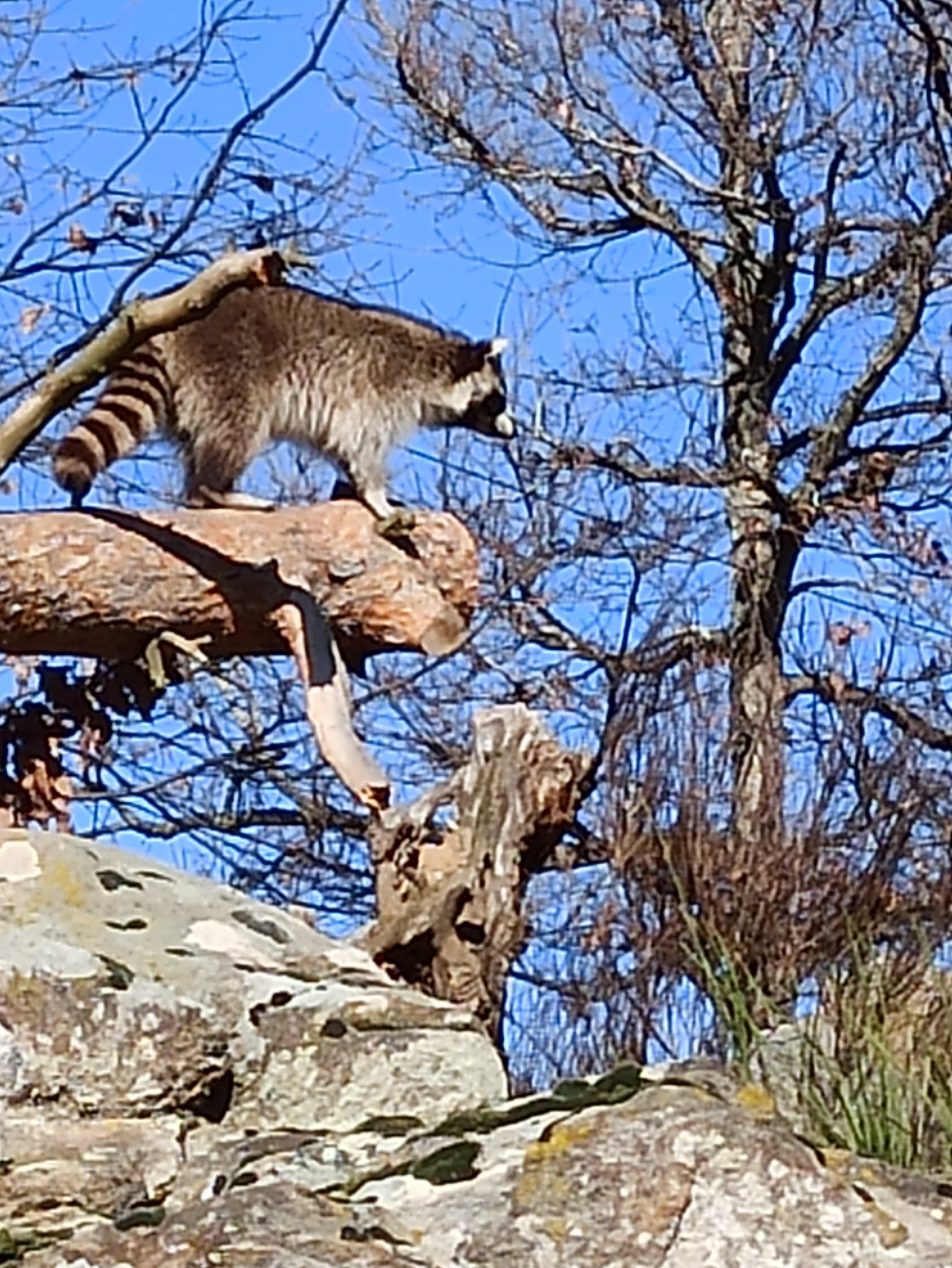 Photo n° 5 de l'avis de Cateline.a fait le 29/02/2024 à 17:05