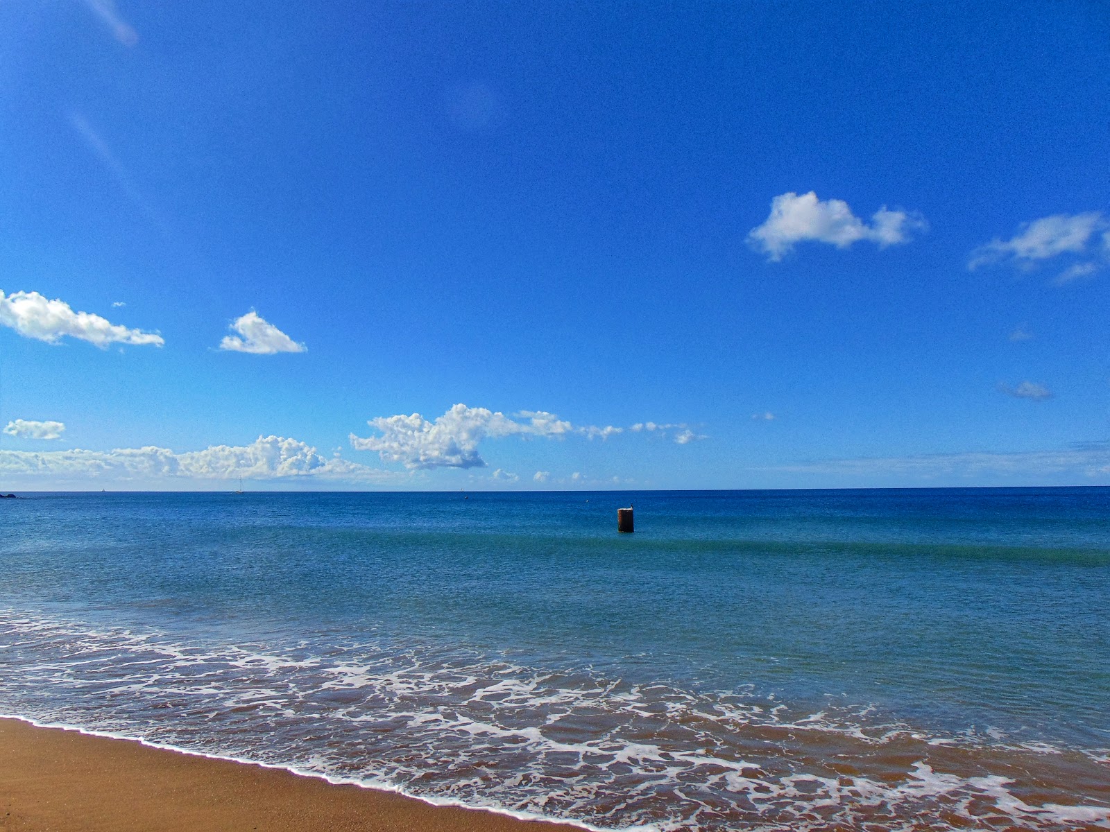 Roseau Bay beach的照片 带有碧绿色纯水表面