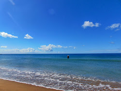 Roseau Bay beach'in fotoğrafı geniş bir kıyı şeridi ile birlikte